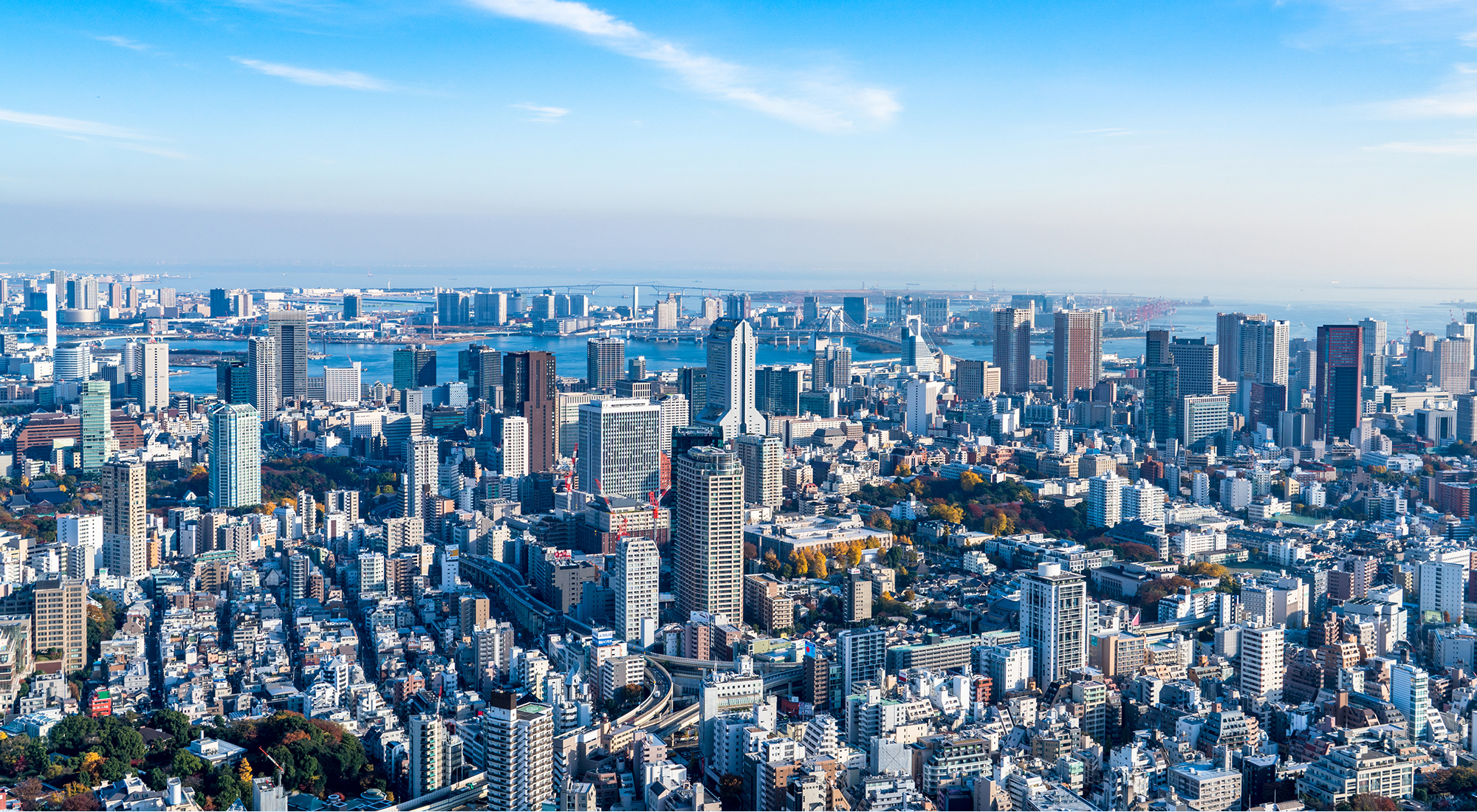 有限会社ほうとく